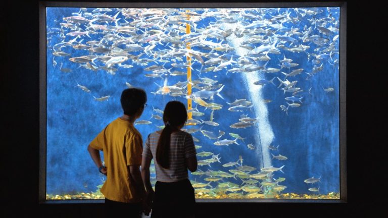 Berlin Zoo tickets: two friends standing in front of a large aquarium tank full of fish
