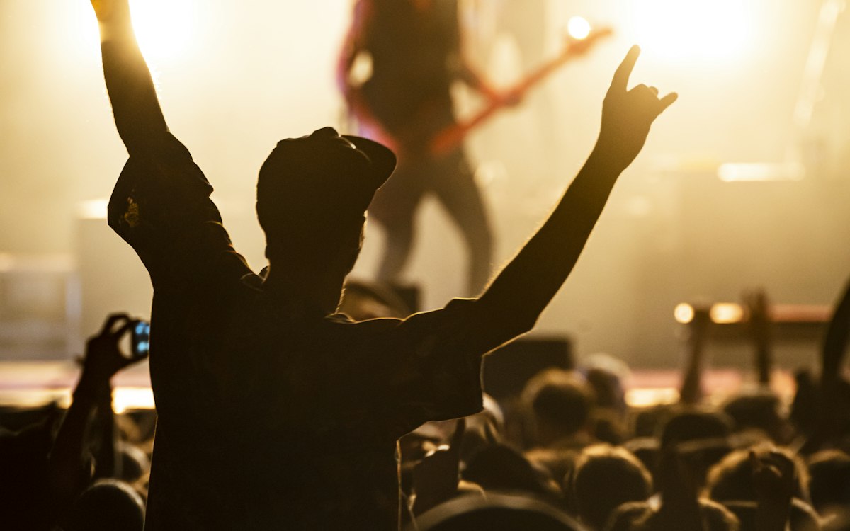 A fan with raised arms at a gig, seen from behind